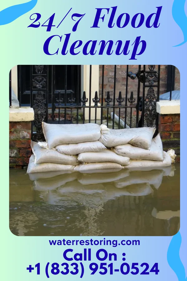 24/7 Flood Cleanup in New Madrid, MO