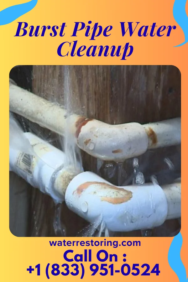 Burst Pipe Water Cleanup in New Madrid, MO