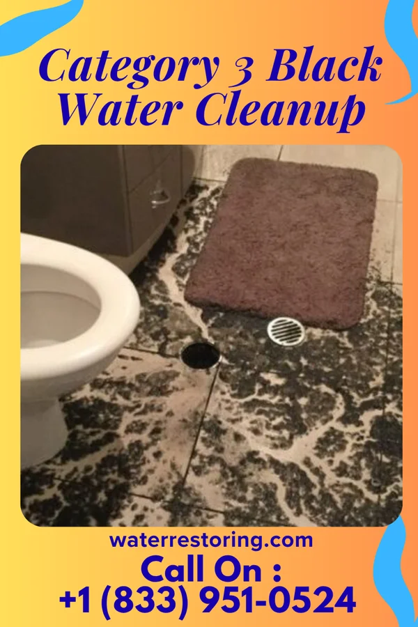 Category 3 Black Water Cleanup in New Madrid, MO