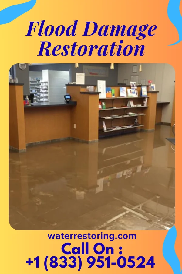 Flood Damage Restoration in New Madrid, MO